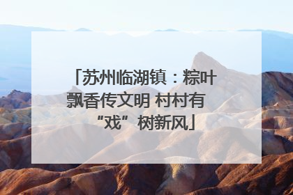 苏州临湖镇：粽叶飘香传文明 村村有“戏”树新风